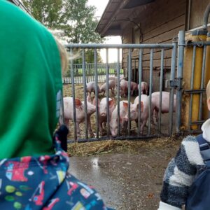 Boerderij kinderopvang